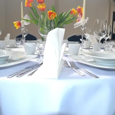 호텔 Malinowski Business 글리비체