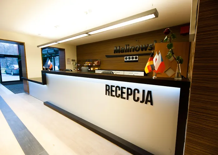 Malinowski Business Gliwice
